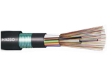 Central Loose Tube Outdoor Cable（GYXTW）